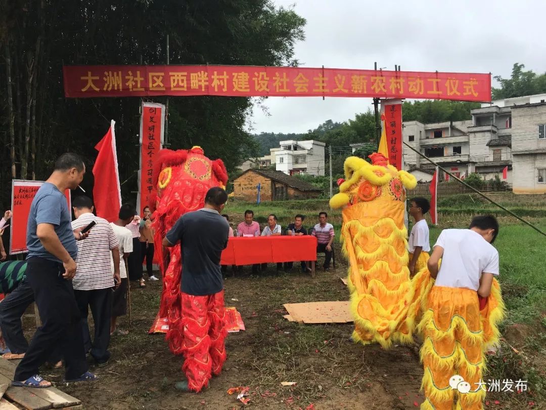 大洲乡新项目，引领乡村发展的全新动力源泉