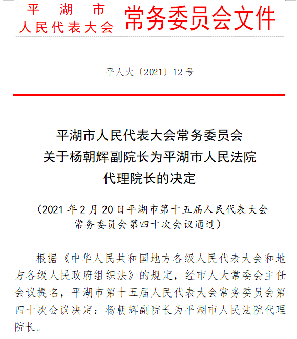 马蹄村委会人事大调整，重塑领导团队，村级发展新篇章